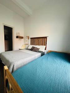 a bedroom with two beds with blue carpet at BichoNegro Hostel in Concordia