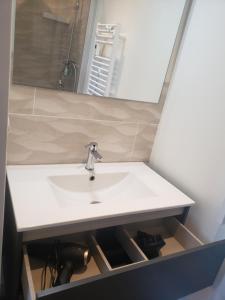 a bathroom with a sink and a mirror at Cocon lumineux Euratech-CHU in Lille +4 photos
