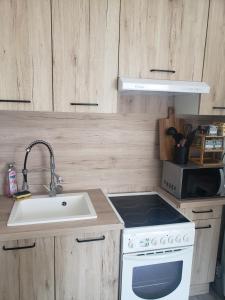 a kitchen with a sink and a stove at Cocon lumineux Euratech-CHU in Lille