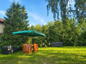 a green umbrella and chairs in a yard at Agroturystyka Zdrowo przez sad in Brzezinki