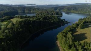 an aerial view of a river with trees and water at Letnisko Polańczyk in Polańczyk +106 photos