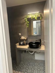 a bathroom with a sink and a mirror at Elia Apartments in Eretria