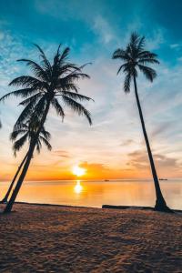 two palm trees on a beach at sunset at Pousada Pontal de Santa Marina - Caraguatatuba in Caraguatatuba