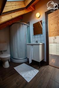 a bathroom with a shower and a toilet and a sink at Limbus Fogadó in Gyöngyöstarján +25 photos