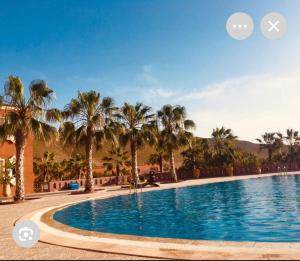 a swimming pool with palm trees in a resort at Villa du soleil in Mirleft