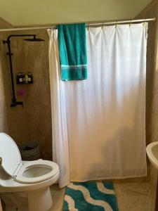 a bathroom with a white shower curtain and a toilet at Peaceful Studio Retreat Near Shoal Bay Beach in Shoal Bay Village