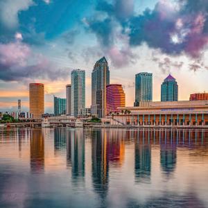 Gallery image of Villiage Centre in Tampa