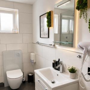 a bathroom with a sink and a toilet and a mirror at Pension Stadt Mannheim in Mannheim