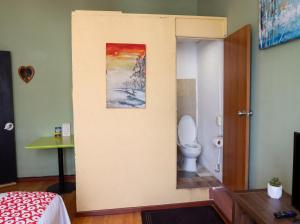a bathroom with a toilet and a painting on the wall at Barrio Antiguo Hostel HK in Monterrey +79 photos