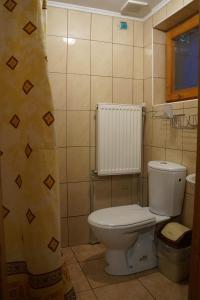 ヤレムチャにあるAt Starunchakiv familyのバスルーム(白いトイレ、ラジエーター付)