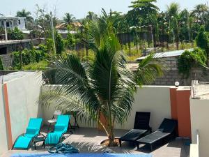 a patio with chairs and a palm tree on a balcony at Darlouis hotel bar piscine in Cap Haïtien