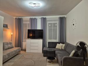 a living room with a couch and a flat screen tv at Noclegi Piastów 25 in Nowa Ruda