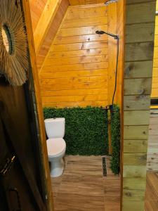 a bathroom with a toilet and a green wall at Mountain heaven in Andrijevica