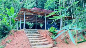 a set of stairs leading to a building with a wooden roof at Seravelle Adventure Camping in Kitulgala