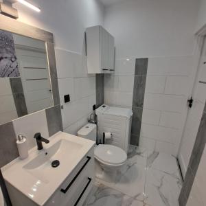 a white bathroom with a toilet and a sink at Noclegi Piastów 25 in Nowa Ruda