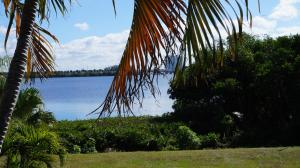 a view of a body of water with a palm tree at Riverview Inn in North Fort Myers