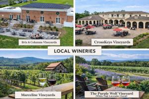 a collage of photos of a wine estate at Cedar Retreat in McGaheysville