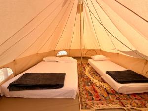 a tent with two beds in a room at Albania Glamping in Himare