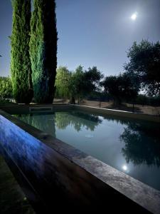 a pool of water in a park at night at I Trulli di Anna in Locorotondo