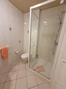 a bathroom with a shower and a toilet at Hotel Gasthaus zur Krone in Gochsheim
