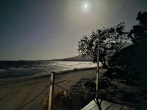 a beach with a tree and the ocean at night at exotic island ometepe in Altagracia