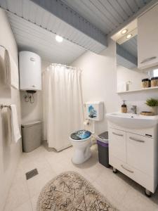 a white bathroom with a toilet and a sink at Villa Risteski Ohrid in Ohrid