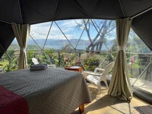 ein Schlafzimmer mit einem Bett und einem großen Fenster in der Unterkunft Morpho Glamping in Nuevo Arenal