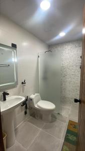 a bathroom with a toilet and a sink and a shower at Apt cómodo a 6 minuto de megacentro in El Bonito
