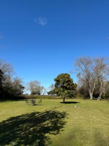a park with benches and a tree in a field at Isla Chaná Private Hideaway in Buenos Aires