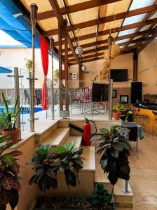 a living room with a patio with plants in it at hostal cf bed y breakfast in Cali