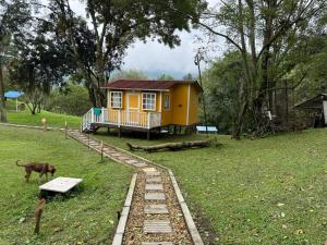 a small yellow house in a yard with a dog at Cabañas Creation Garden - Espacio de Vida Saludable in San Francisco