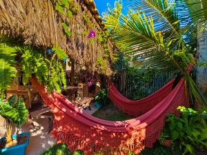a hammock in a garden with a palm tree at Chalés Cabocla da Lua in Caraíva