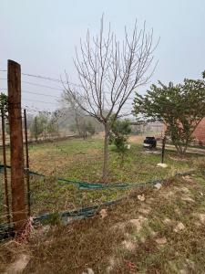 a fence with a tree in a field at El triángulo finca familiar in Maco