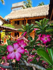 a bush with pink flowers in front of a building at HOTELITO SWISS OASIS, Playa Zicatela - Adults Only - Kitchen - Cocina in Puerto Escondido