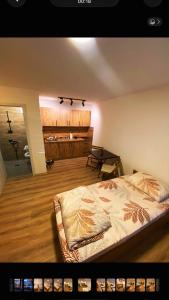 a bedroom with a bed and a table in it at Korja Apartments Mavrovo in Mavrovo