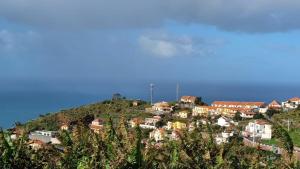 a group of houses on top of a hill at Casa Gouveia in Ribeira Brava
