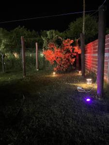 a yard at night with lights on the grass at El triángulo finca familiar in Maco