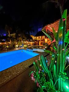 a swimming pool at night with a cactus at HOTELITO SWISS OASIS, Playa Zicatela - Adults Only - Kitchen - Cocina in Puerto Escondido