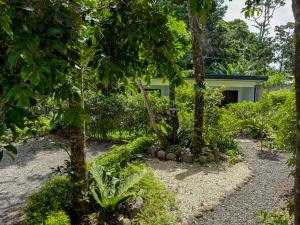 a garden with trees and a house in the background at Monteverde Magic Mountain Lodge in Monteverde Costa Rica +105 photos