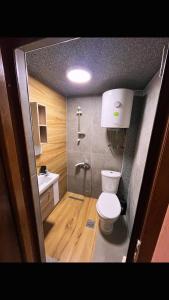 a small bathroom with a toilet and a sink at Korja Apartments Mavrovo in Mavrovo +23 photos