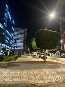a tree in the middle of a street at night at belle appartement à centre Kénitra in Kenitra