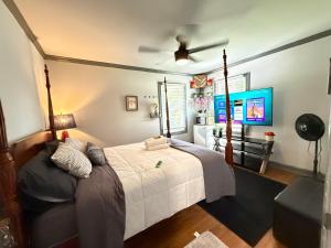 a bedroom with a bed and a ceiling fan at Villa Juan and Alejandra in Atlanta