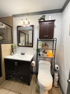 a bathroom with a sink and a toilet and a mirror at Villa Juan and Alejandra in Atlanta