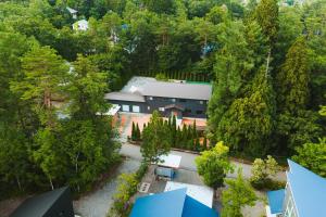 an aerial view of a house in the woods at Tanglin Maison Hakuba by Jade Villa in Hakuba