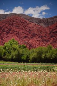 a red mountain with trees and a field of flowers at Cabañas Rurales HLS in Senador Pérez