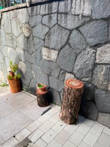two logs sitting next to a stone wall at Recanto Boa Vista in Recife
