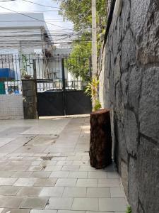 a tree stump next to a wall with a plant at Recanto Boa Vista in Recife +5 photos