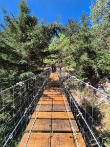 a suspension bridge in the middle of a forest at Chalet Niquel in Mineral del Chico