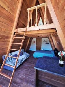 a room with a bunk bed and a ladder in a cabin at Chalet Niquel in Mineral del Chico