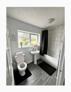 a bathroom with a toilet and a sink at 13a Avon road in Worcester
